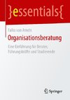 Organisationsberatung