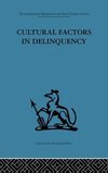 Cultural Factors in Delinquency