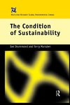 The Condition of Sustainability