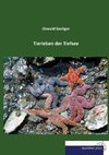 Tierleben der Tiefsee