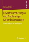 Erwerbsorientierungen und Problemlagen junger Erwerbstätiger