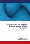 Real Options for 450mm Semiconductor Wafer Foundries