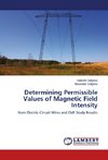 Determining Permissible Values of Magnetic Field Intensity