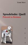 Sprudelnder Quell