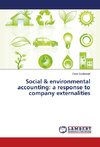 Social & environmental accounting: a response to company externalities