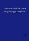 Die Adenomyome und Cystadenome der Uterus- und Tubenwandung