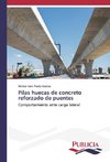 Pilas huecas de concreto reforzado de puentes