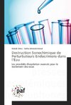 Destruction Sonochimique de Perturbateurs Endocriniens dans l'Eau