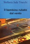 Il bambino rubato dal vento