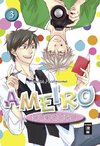 Ameiro Paradox 03