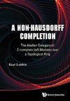 Saul, L:  Non-hausdorff Completion, A: The Abelian Category