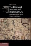 The Origins of International Investment Law