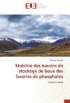 Stabilité des bassins de stockage de boue des laveries de phosphates