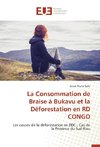 La Consommation de Braise à Bukavu et la Déforestation en RD CONGO