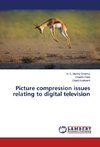 Picture compression issues relating to digital television