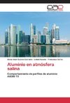 Aluminio en atmósfera salina