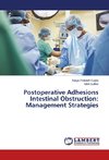 Postoperative Adhesions Intestinal Obstruction: Management Strategies