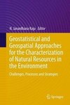 Geostatistical and Geospatial Approaches