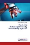 Producing immunoglobuline by backcrossing injection