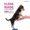 Kleine Hunde richtig erziehen