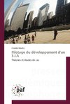 Pilotage du développement d'un S.I.A