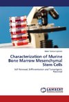 Characterization of Murine Bone Marrow Mesenchymal Stem Cells