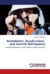 Assimilation, Acculturation, and Juvenile Delinquency