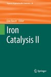 Iron Catalysis II