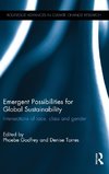 Emergent Possibilities for Global Sustainability