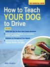 HOW TO TEACH YOUR DOG TO DRIVE