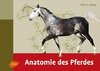 Anatomie des Pferdes