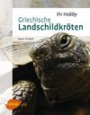 Griechische Landschildkröten