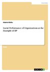 Social Performance of Organizations at the Example of BP