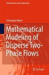 Mathematical Modeling of Disperse Two-Phase Flows