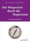 Wiesemann, C: Wegweiser durch die Depression