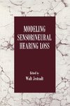 Modeling Sensorineural Hearing Loss