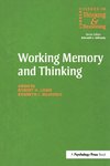 Working Memory and Thinking