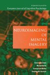 Neuroimaging of Mental Imagery