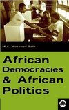 African Democracies And African Politics