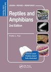 Reptiles and Amphibians