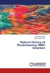 Natural History of Picobirnavirus (PBV) Infection
