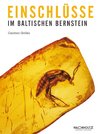 Einschlüsse im baltischen Bernstein