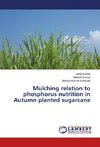 Mulching relation to phosphorus nutrition in Autumn planted sugarcane