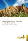 Les enseignements bibliques à tirer de la fourmi