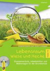 Lebensraum Wiese und Hecke Klasse 1/2