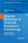 Molecular Mechanisms of Tumor Cell Resistance to Chemotherapy