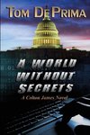 A World Without Secrets