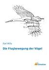 Die Flugbewegung der Vögel