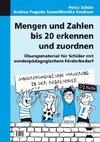 Mengen und Zahlen bis 20 erkennen und zuordnen