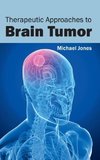 Therapeutic Approaches to Brain Tumor